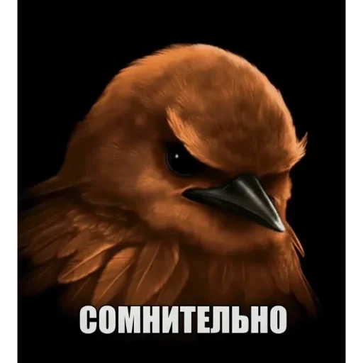 Эмодзи Birds Memes