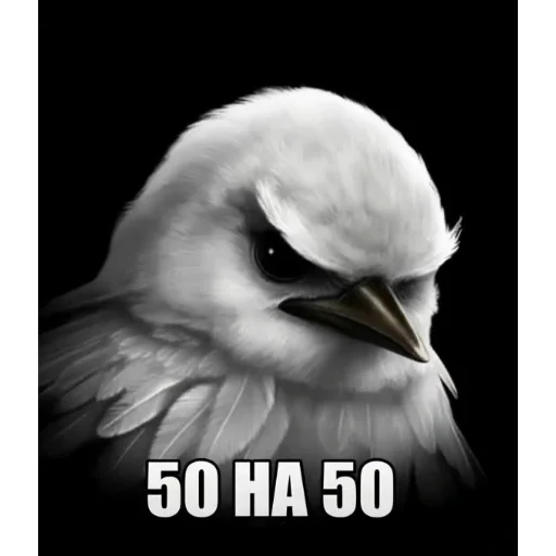 Эмодзи Birds Memes