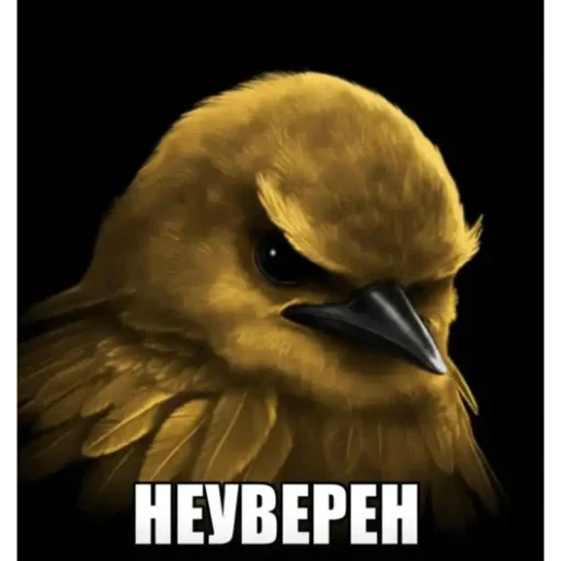 Эмодзи Birds Memes
