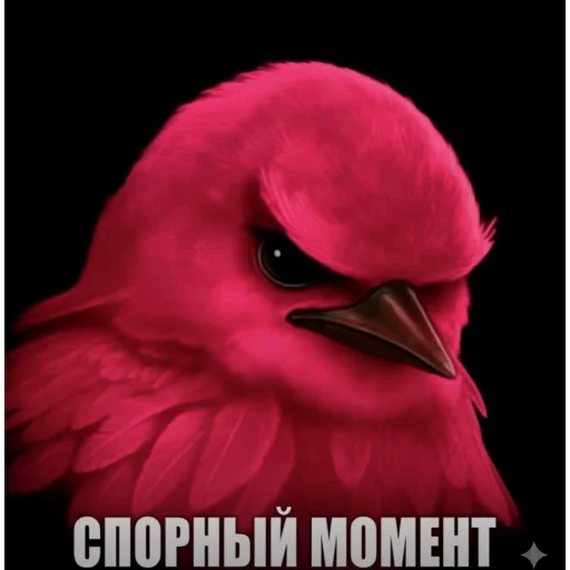 Эмодзи Birds Memes