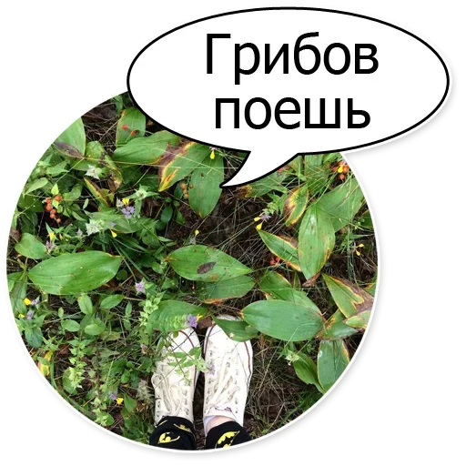 Эмодзи Шок Шлёп и всем звёздочек