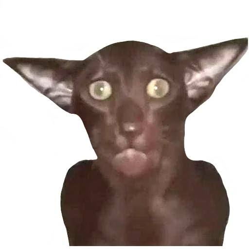 Эмодзи встратыши