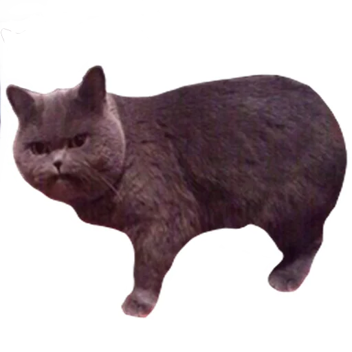 Эмодзи встратыши