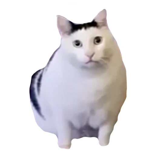 Эмодзи встратыши