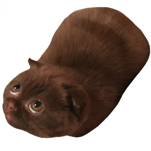 Эмодзи встратыши