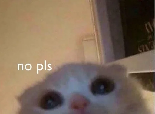 Эмодзи Cats memes