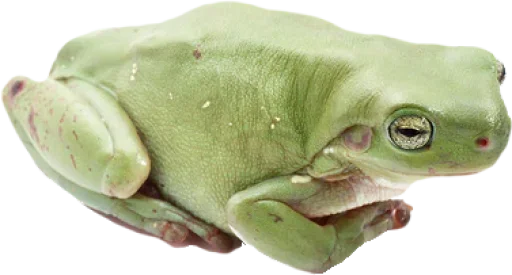 Эмодзи ваффл!