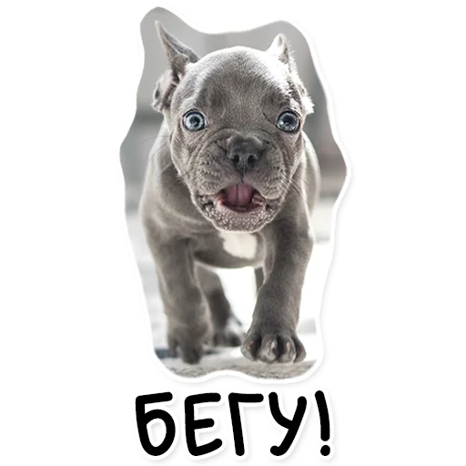 Эмодзи АЙДА ГУЛЯТЬ