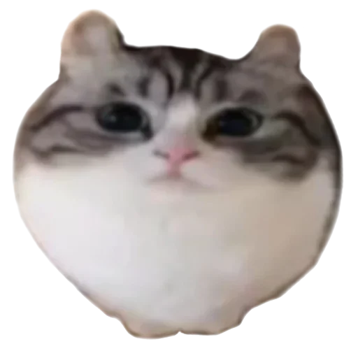 Эмодзи ANIME