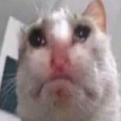 Эмодзи Живность