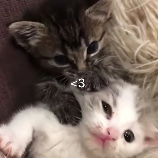 ❤️