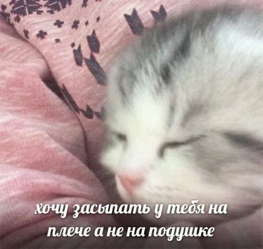 Эмодзи ' мяу . . ↬ >> ??