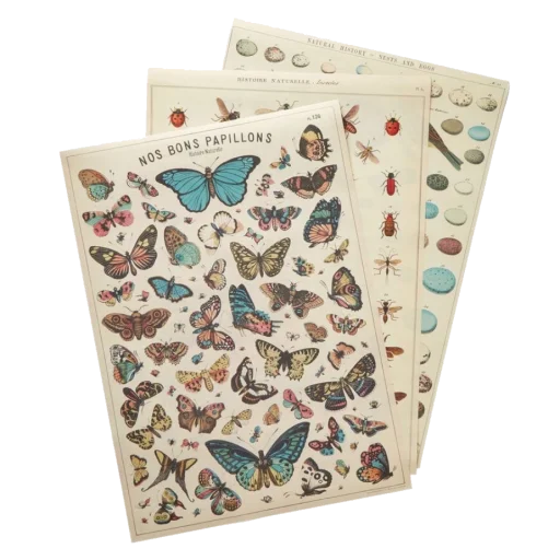 Эмодзи green & white aesthetic // by pine.appleee__