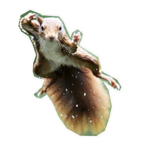 Эмодзи Анимал22