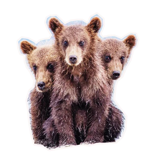 Эмодзи Анимал22