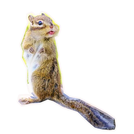 Эмодзи Анимал22