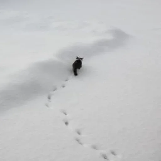 Эмодзи winter