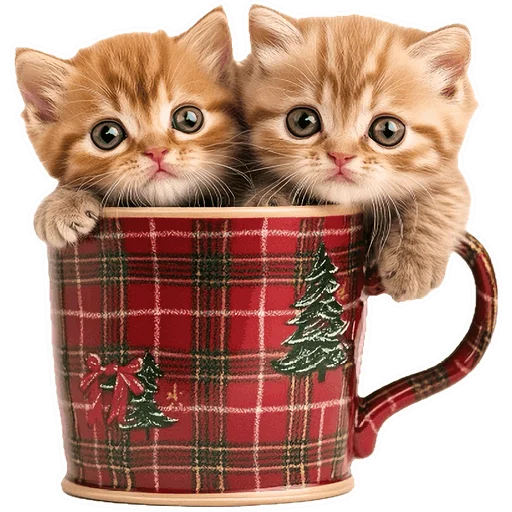 Эмодзи Зимние котики