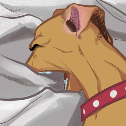 Эмодзи Winx Club Magic