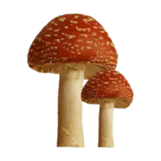 Эмодзи 🧙♂;;🧶 𝖜𝖎𝖙𝖈𝖍 𝖆𝖊𝖘𝖙𝖍𝖊𝖙𝖎𝖈