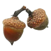 Эмодзи 🧙♂;;🧶 𝖜𝖎𝖙𝖈𝖍 𝖆𝖊𝖘𝖙𝖍𝖊𝖙𝖎𝖈