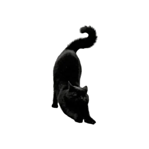 Эмодзи Witches Stuff