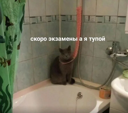 😩