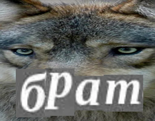 🧍‍♂️