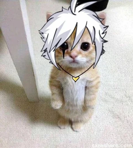 🍙