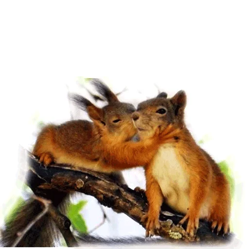 Эмодзи Approach