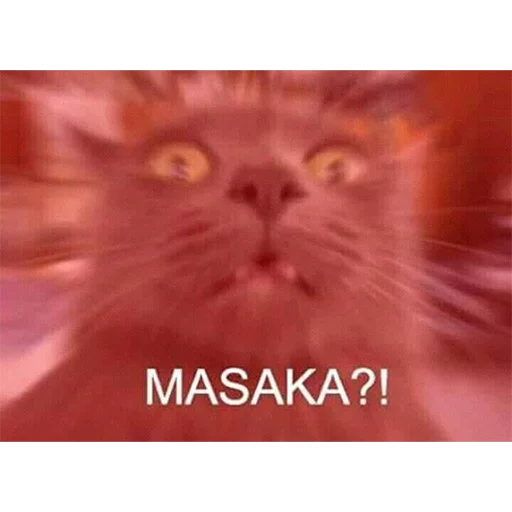 Эмодзи YAMERO