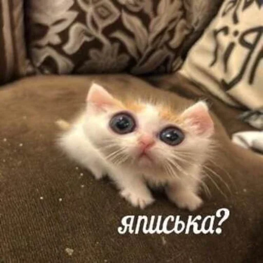 😳