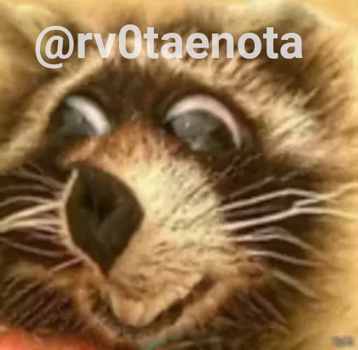 Эмодзи я писька?