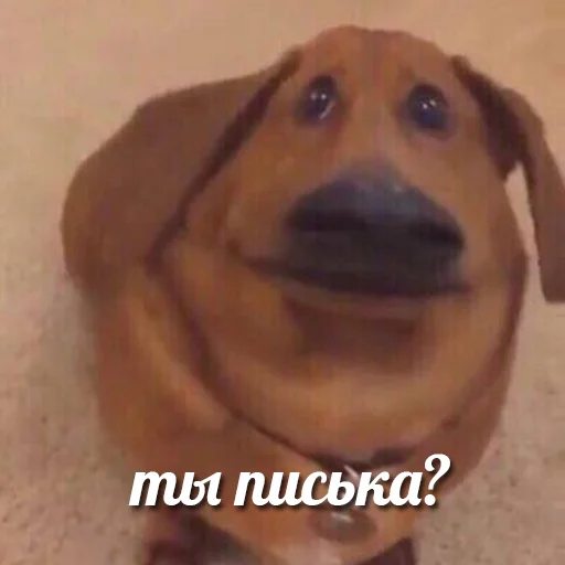 Эмодзи я писька?