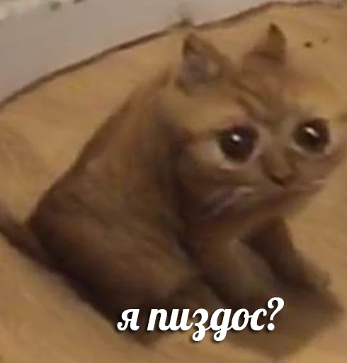 Эмодзи я писька?