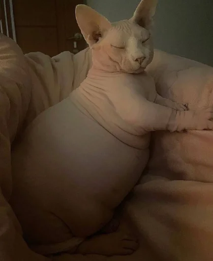Эмодзи кошечка гламурная