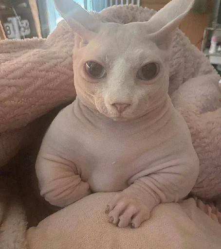 Эмодзи кошечка гламурная