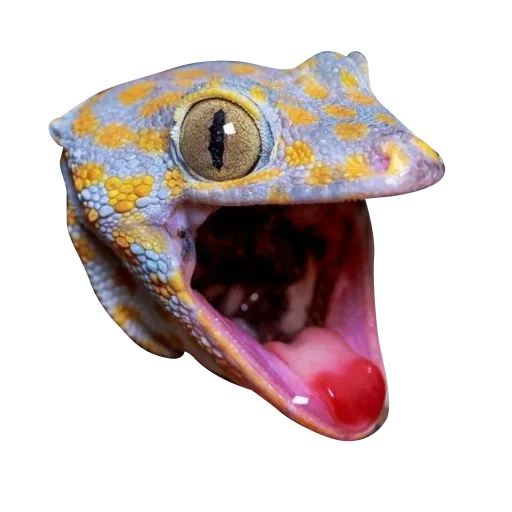 Эмодзи Ящерица