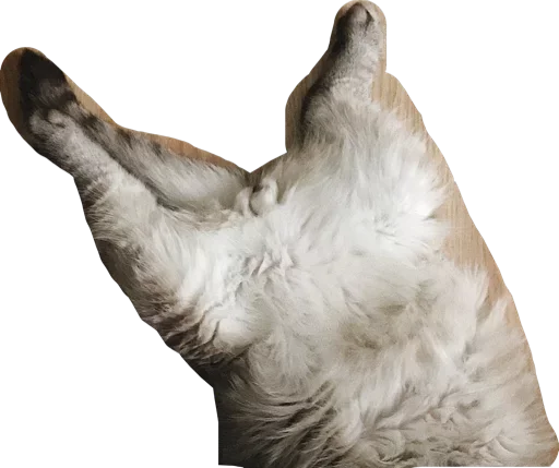 Эмодзи Conquer