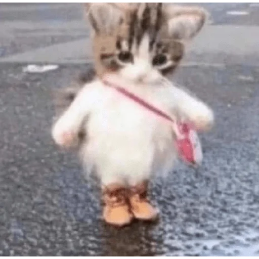 Эмодзи фуримама
