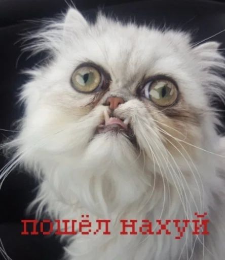 Эмодзи иди нахер