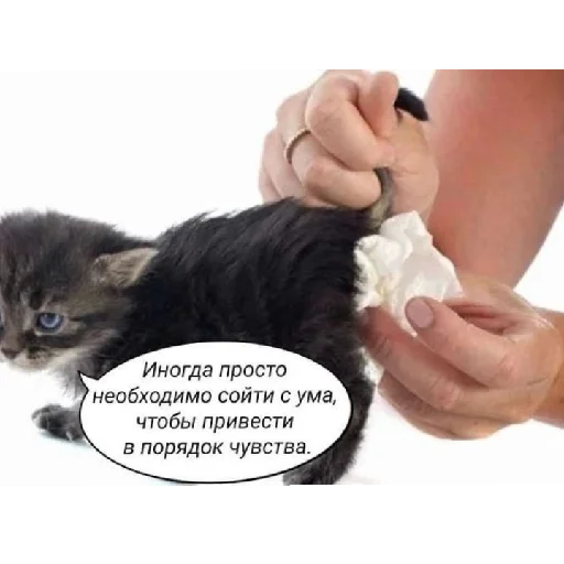 Эмодзи юбочка чулочки я чвк фембойчик)))