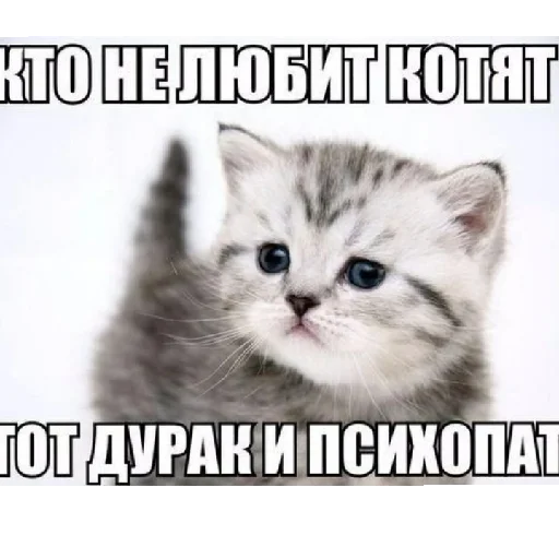 Эмодзи юбочка чулочки я чвк фембойчик)))