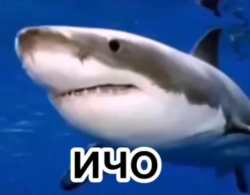 Эмодзи zero_skamm