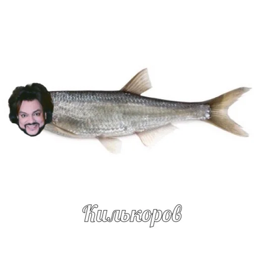 Эмодзи рофлы с фамилиями актеров