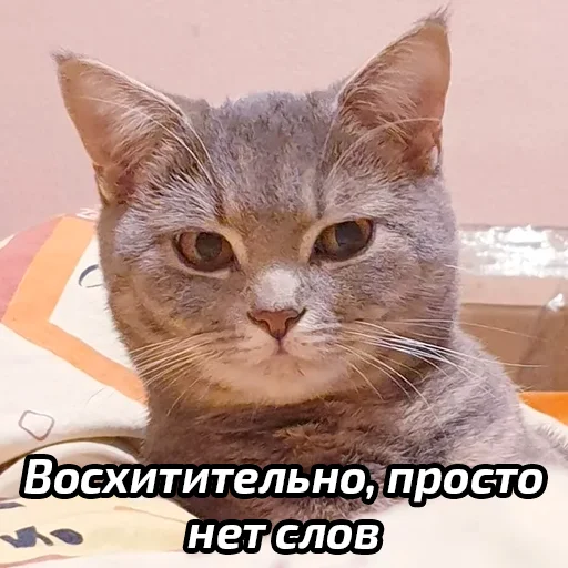 😕