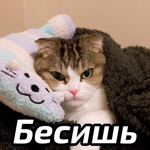 Эмодзи Бабские стикеры