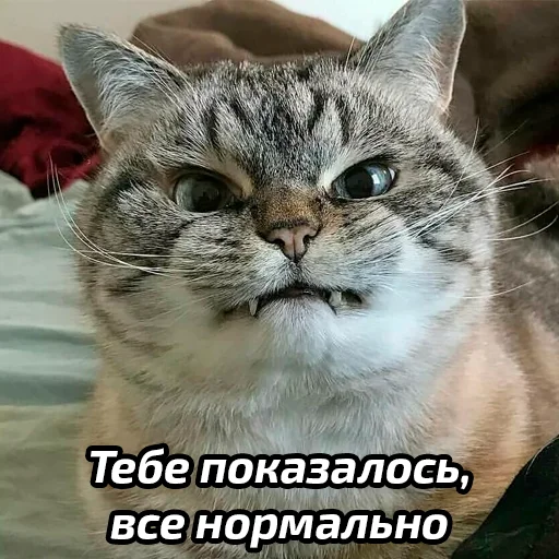 Эмодзи Бабские стикеры