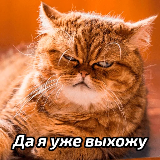 Эмодзи Бабские стикеры