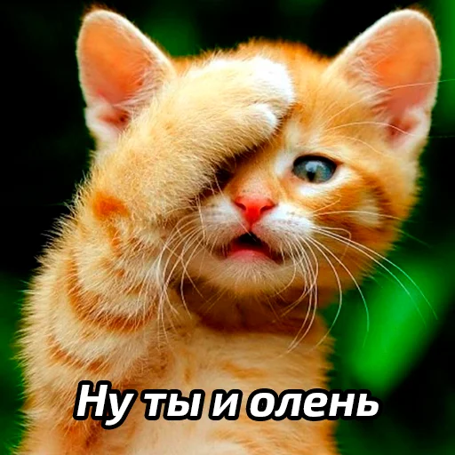 Эмодзи Бабские стикеры